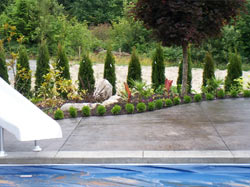 Broom-finished pool deck with landscaped garden border